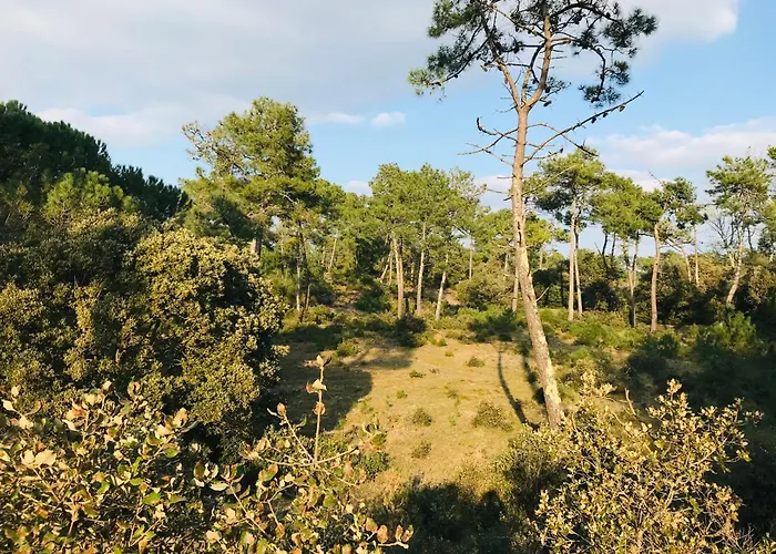 Les Fermettes, Lumière *